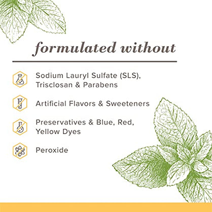 Burt's Bees Toothpaste, Natural Flavor, Zen Peppermint, 4.7oz 3 Count