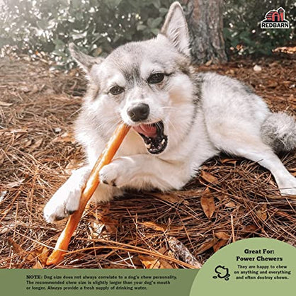 Redbarn All-Natural Large Beef Collagen Sticks for Dogs - Long Lasting Low-Odor Single Ingredient Chews - Alternative to Traditional Rawhide & Bully Sticks - Supports Healthy Joints, Skin, & Coat