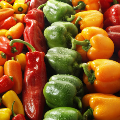 Piko Riko by Microsaucerie Piko Peppers, Mild Heat Hot Sauce With Flavors of Habanero Peppers, Bell Peppers & Beer, Made With All Natural Ingredients, 5 fl oz Bottle (1-Pack)