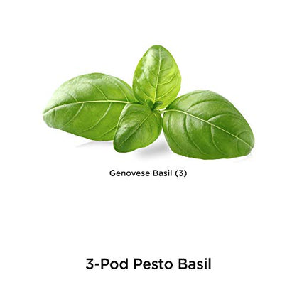 AeroGarden Seed Kit