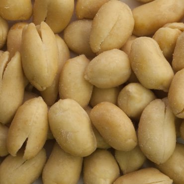 FERIDIES NUT_AND_SEED