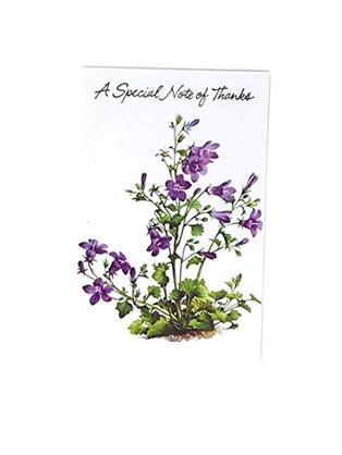 Thank You Card Set 40 Pieces, Thank You Gift Cards in Envelopes with 5 Designs in Vibrant Colors, Bulk Pack Card Notes for Baby Showers, Wedding, Birthdays, Baby Shower