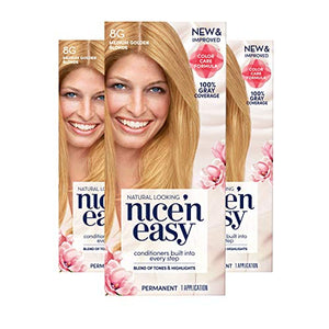 Clairol Nice'n Easy Permanent Hair Dye